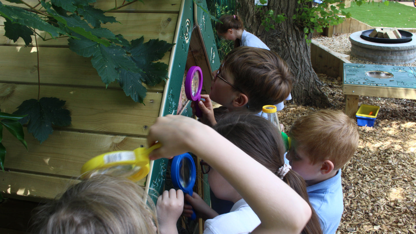 Bug Hotel