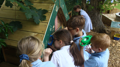 Bug Hotel